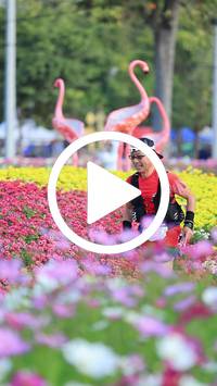 BIB:  <button type="button" onclick="openModal(27583245)" class="btn btn-primary btn-sm float-right" data-toggle="modal" data-target=".modal-high-quality">
                <i class="fa fa-download"></i> Download
                </button>